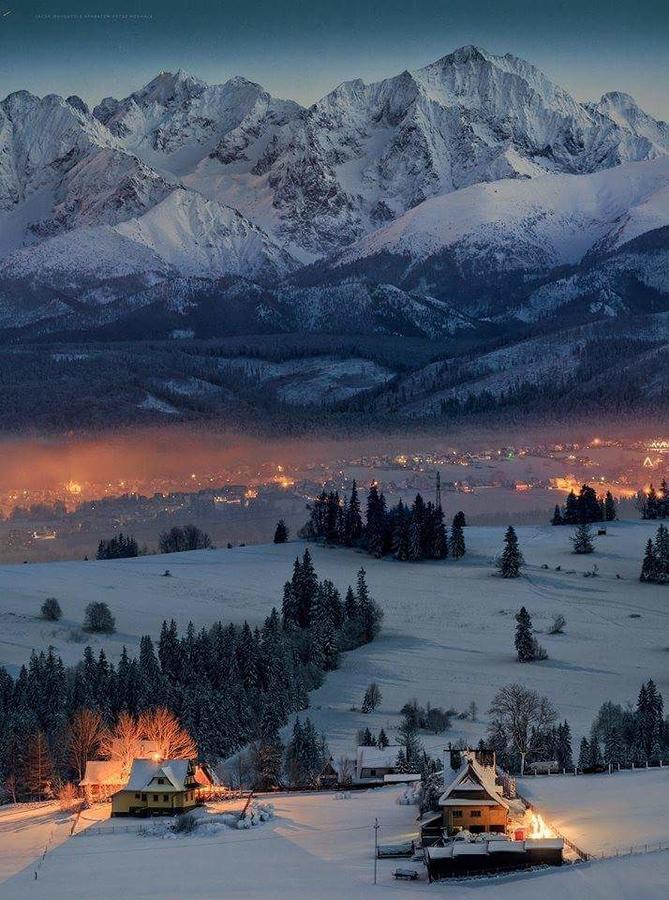 Willa 14 Zakopane Esterno foto