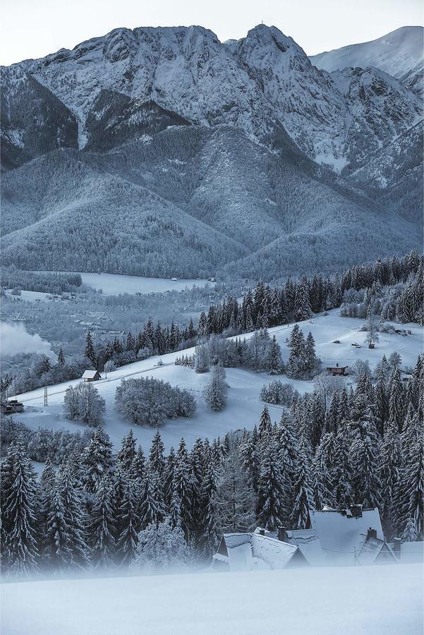 Willa 14 Zakopane Esterno foto